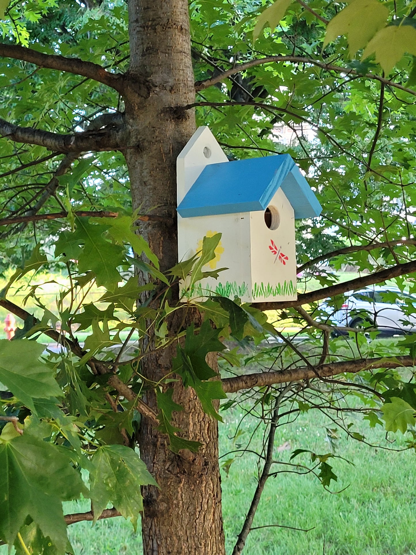 Eastern Blue Wren Birdhouse