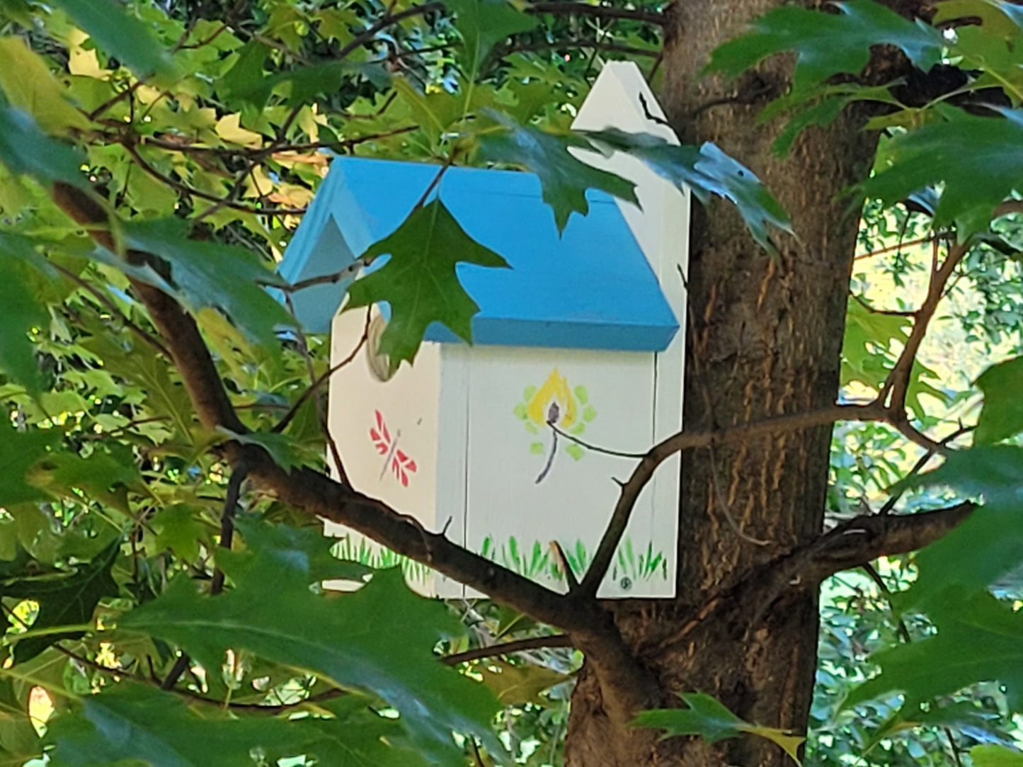 Eastern Blue Wren Birdhouse